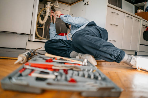 Best Plumbing Inspection Services  in Monticello, IL