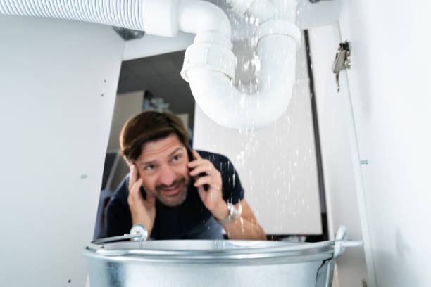 Best Local Plumber Services  in Monticello, IL