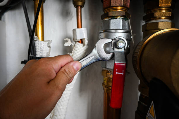 Best Best Plumbers Near Me  in Monticello, IL